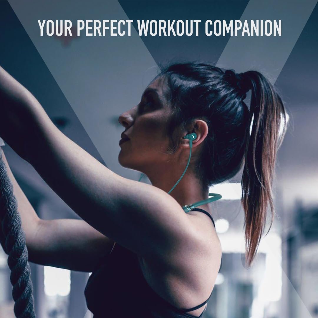 617xnydHVzL._SL1080_